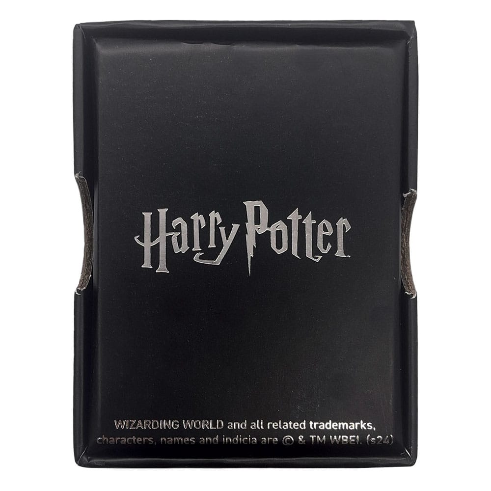 HARRY POTTER - The Flying Key - Limited Edition Necklace