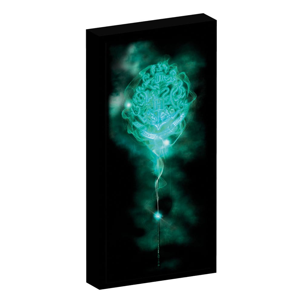 HARRY POTTER - Canvas with 6 LED light 20X3X40cm