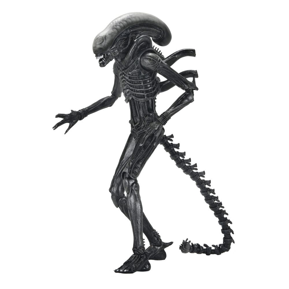 [PREORDER] Alien: Romulus Action Figure Ultimate Xenomorph XX121 18 cm